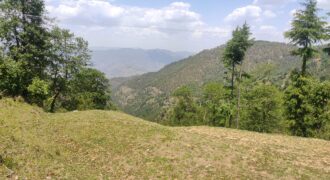 Land for Sale in Pasoli Haidakhan Temple road