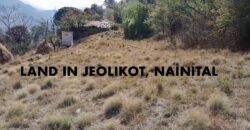 10 Nali Land in Gethia, Jeolikote, Nainital