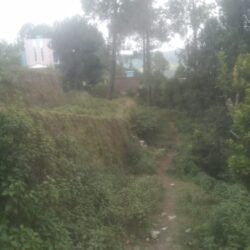25 Nali Land for sale in Jageshwar