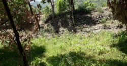 3 Nali Land for Sale in Jeolikote, Nainital