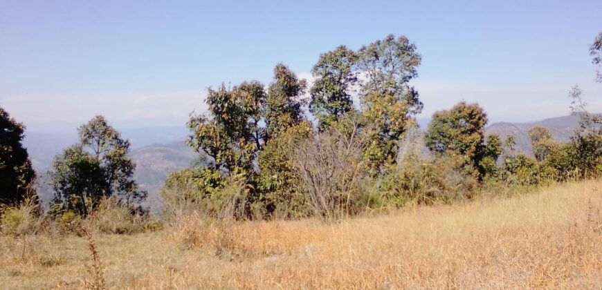70 Nali Land for Sale in Sitla near Sonapani