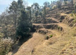 11 Nali Land in Majkhali for Sale, Ranikhet