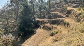 11 Nali Land in Majkhali for Sale, Ranikhet