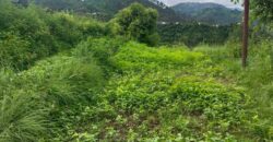 160 Nali Land for Sale in Valka, Devidhura