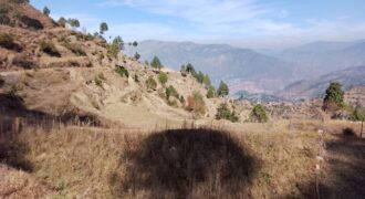 Land for Sale in Bajeri – 7 Nali Himalayan View
