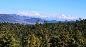 60 Nali Land for Sale in Khetikhan, Champawat