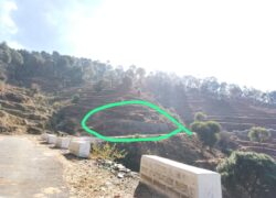 9 Nali Land for Sale in Ranikhet, Amazing Himalayan View