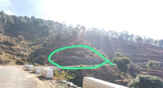 9 Nali Land for Sale in Ranikhet, Amazing Himalayan View