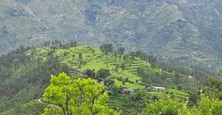 Big Land for Sale in Champawat – 2200 Nali with Awesome View