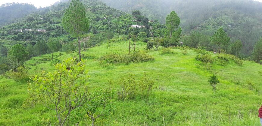 Big Land for Sale in Champawat – 2200 Nali with Awesome View