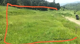 1.4 Nali Land for Sale in Govindpur, Majkhali, Ranikhet Area