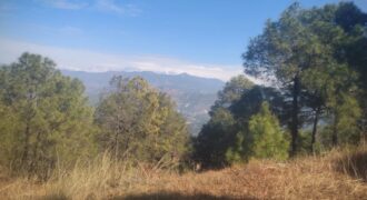 Land in Ranikhet, Near Binsar Mahadev Ashram