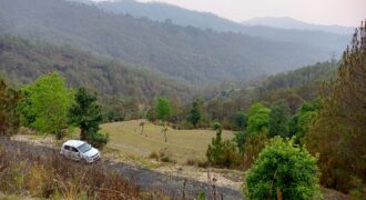400 Nali Land in Dwarahat, Almora District