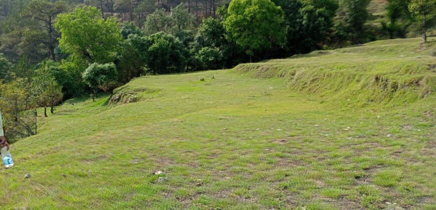 400 Nali Land in Dwarahat, Almora District