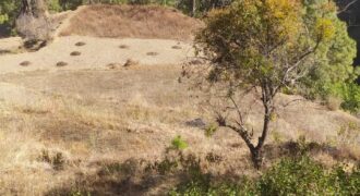 2.5 Nali Land in Majkhali, Ranikhet