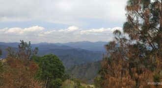 20 Nali Near Binsar Mahadev Temple, Soni