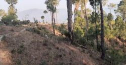 78 Nali Land in Dhamas, Shitlakhet Rd – Himalaya View