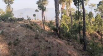 23 Nali Non-Agriculture Land in Almora
