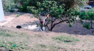 Land in Kainchi Dham: Prime Location near Spiritual Landmarks