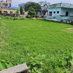 Plot in Bithoria No.1 – Unchapul Chafula Road Haldwani