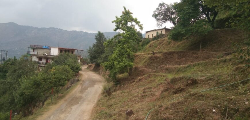 Small Land Near Kasiyalekh, Mukteshwar