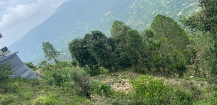 Land in Satbunga Near Mukteshwar