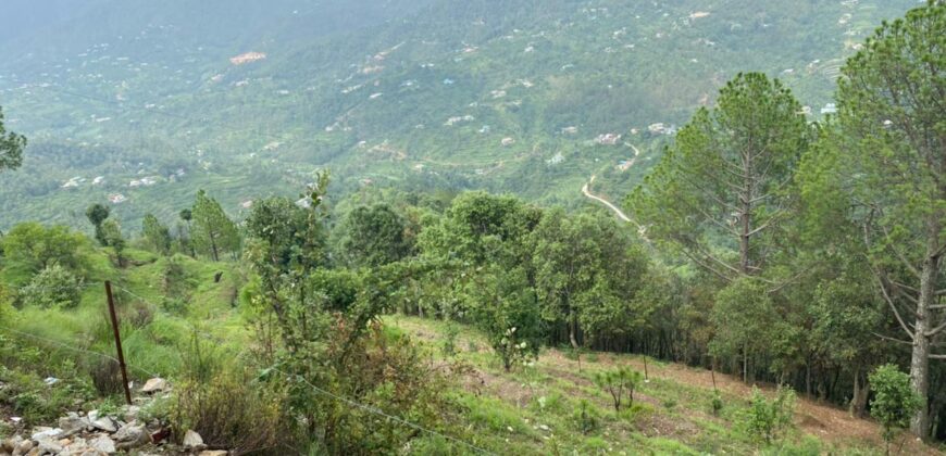 Land in Satbunga Near Mukteshwar