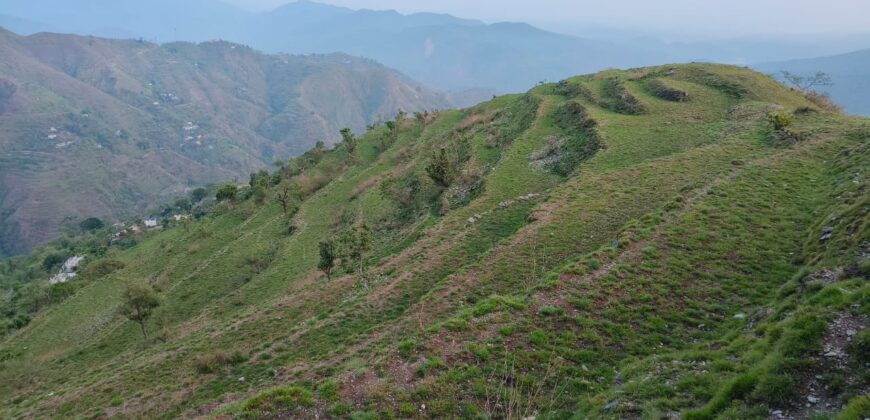 Hill Top Property Marchula, Jim Corbett