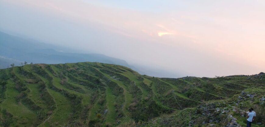 Hill Top Property Marchula, Jim Corbett