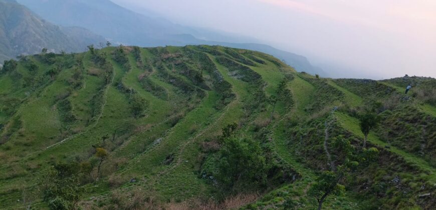 Hill Top Property Marchula, Jim Corbett