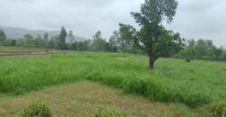 Land in Chorgalia Kotaliya, Near Golapar Haldwani