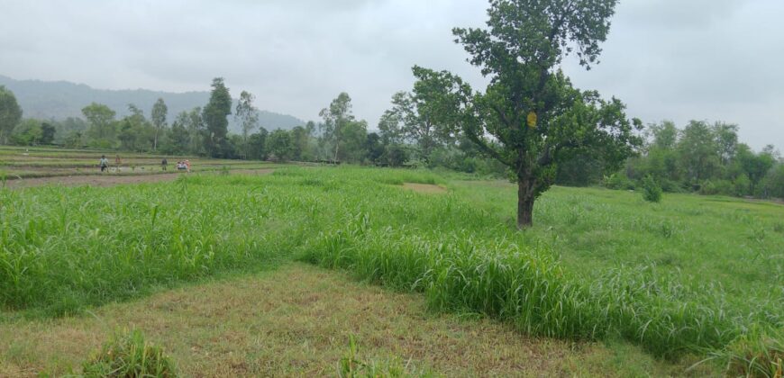 Land in Chorgalia Kotaliya, Near Golapar Haldwani