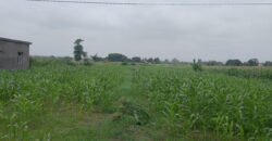 Land in Chorgalia Kotaliya, Near Golapar Haldwani