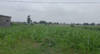 Land For Sale in Sitapur Golapar, Haldwani