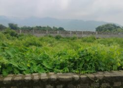 Commercial Land in Golapar Highway