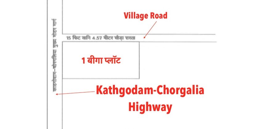 1 Bigah Commercial Land in Kathgodam-Chorgalia Highway