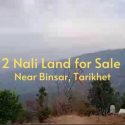 2 Nali Land for Sale Near Binsar Mahadev, Tarikhet