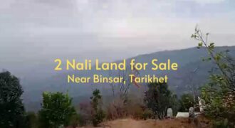 2 Nali Land for Sale Near Binsar Mahadev, Tarikhet