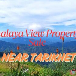 25 Nali Land for Sale Near Tarikhet