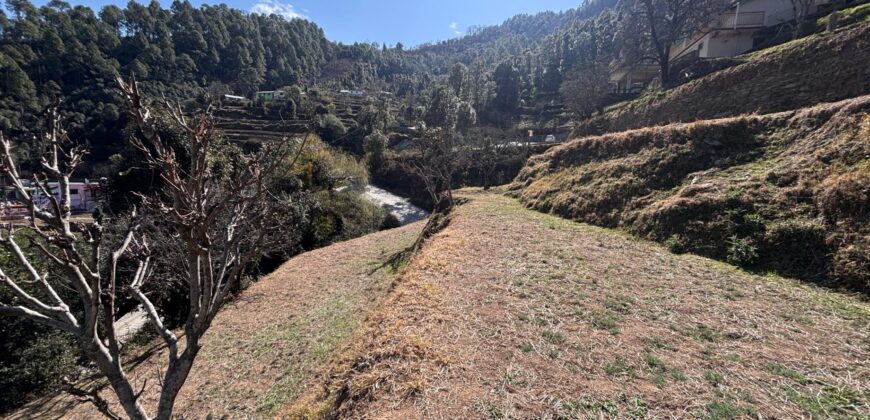 Land for Sale in Matiyal, Dhari
