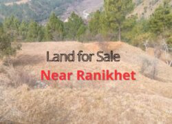 2 Nali land for Sale in Near Ranikhet