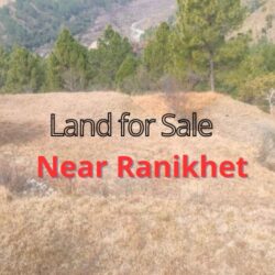 2 Nali land for Sale in Near Ranikhet