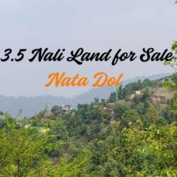 3.5 Nali Land for Sale in Nata Dol Near Paharpani