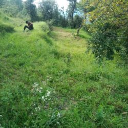 10 Nali SC Land Paharpani