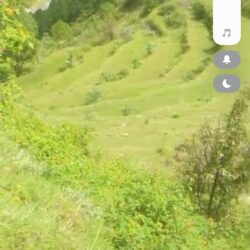 25 Nali land sale near kanchi dham ( kherna Tipola )