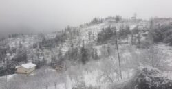 Himalayan View Cottage – Letibunga, Mukteshwar | 2BHK Stay at 1700m