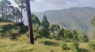 🏞️ 35 Nali Land for Sale in Manila, Almora (Himalayan View Property)