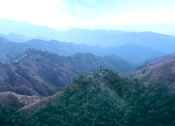 Plot For Sale in Manila Almora Uttarakhand