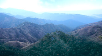 Plot For Sale in Manila Almora Uttarakhand