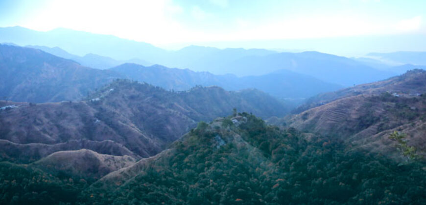 Plot For Sale in Manila Almora Uttarakhand